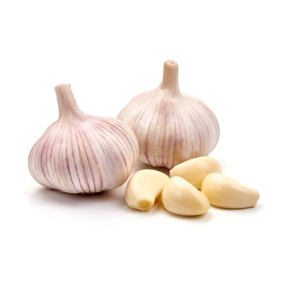 Чеснок крупный 1 кг - купить в Махалотлях