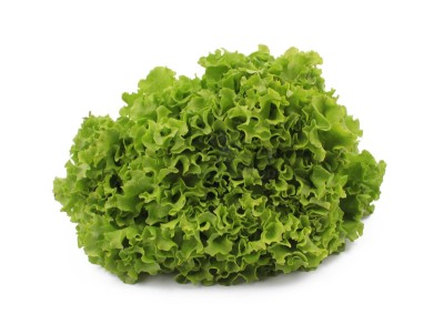 Салат айсберг 300 г - купить в Махалотлях