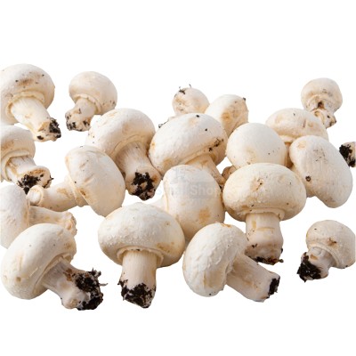 Шампиньоны свежие 500 г - купить в Махалотлях